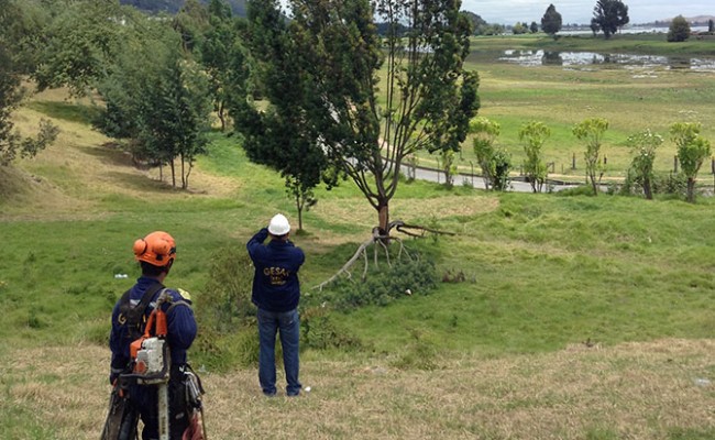 Proyecto Gesar