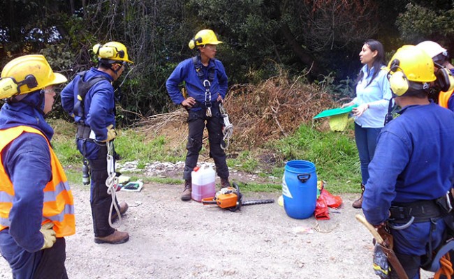 Proyecto Gesar