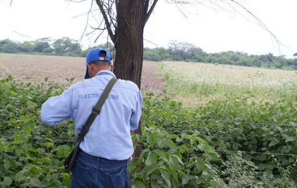 Inventario Forestal