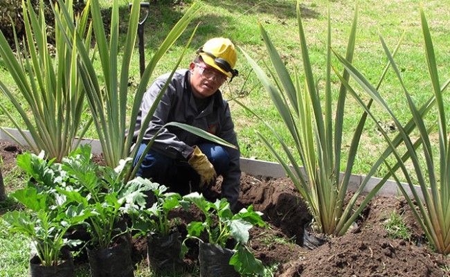 Jardinería Eternit