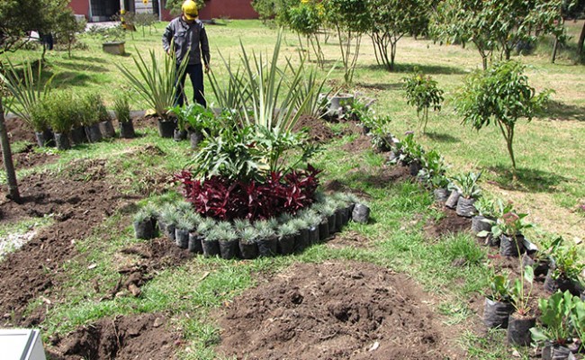 Jardinería Eternit