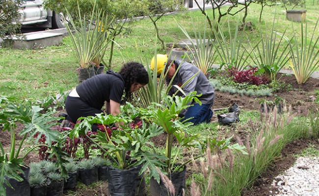 Jardinería Eternit